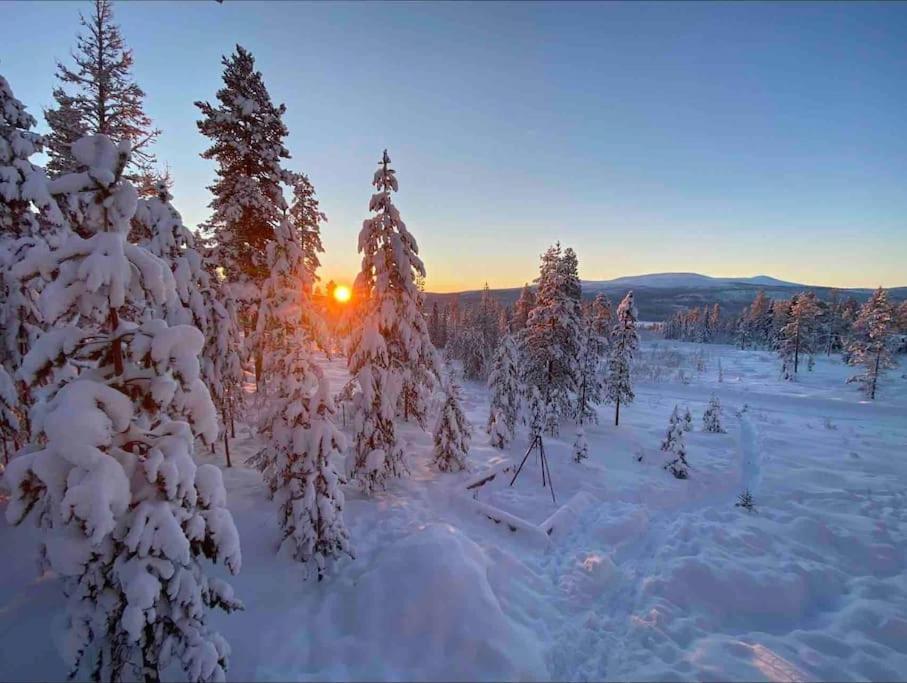 Mountain Cabin Lofsdalen Exterior photo