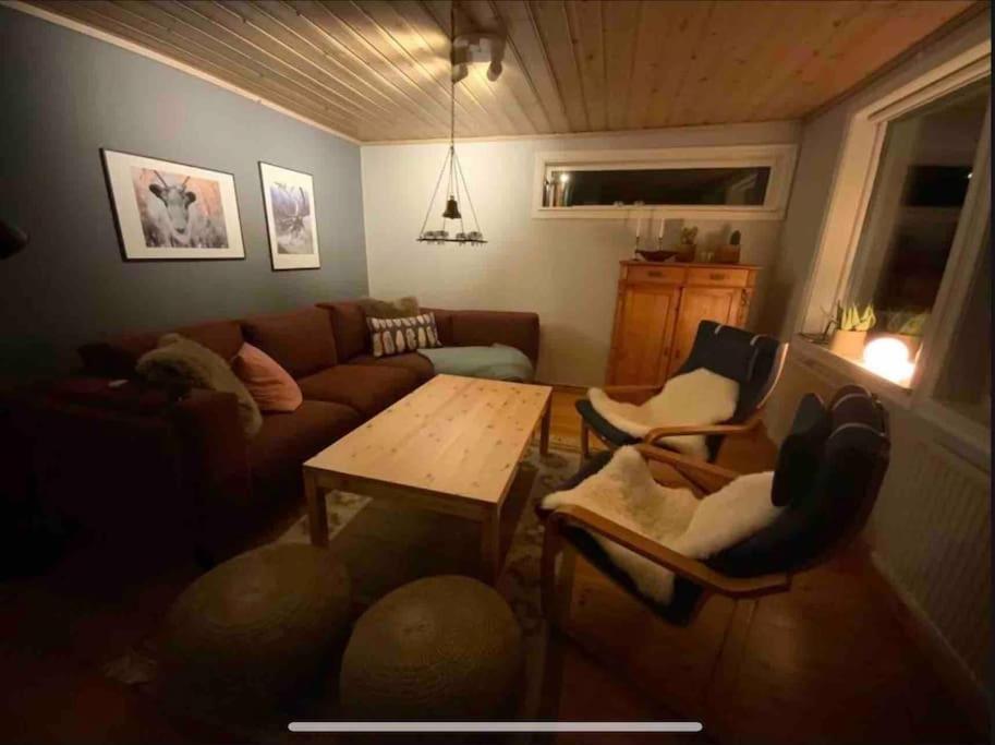 Mountain Cabin Lofsdalen Exterior photo