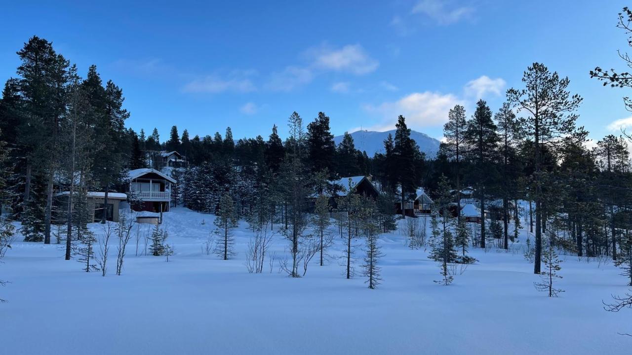 Mountain Cabin Lofsdalen Exterior photo