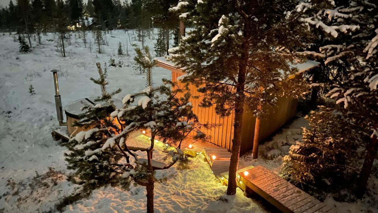 Mountain Cabin Lofsdalen Exterior photo